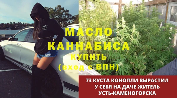 винт Алексин