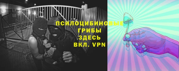 винт Алексин