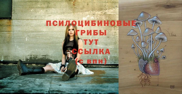 винт Алексин