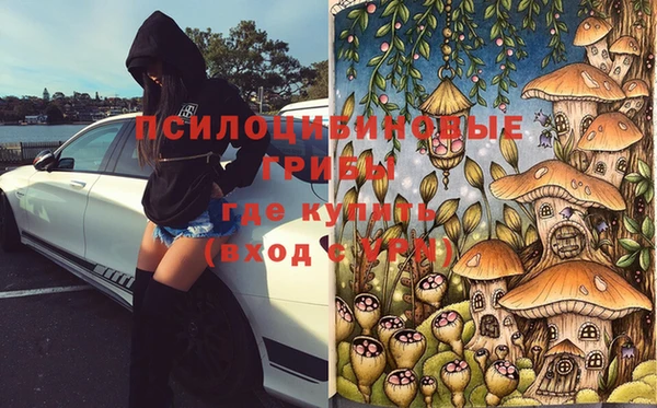 прущая мука Алзамай