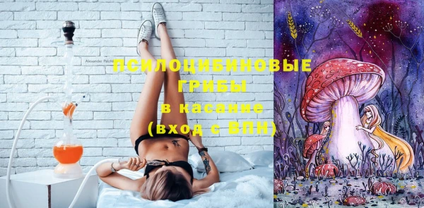 винт Алексин