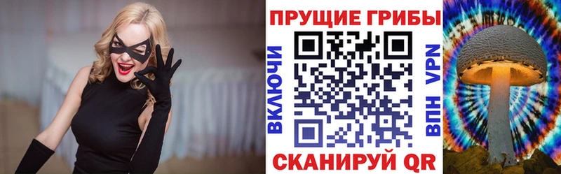 цены   Качканар  даркнет клад  Псилоцибиновые грибы мухоморы 